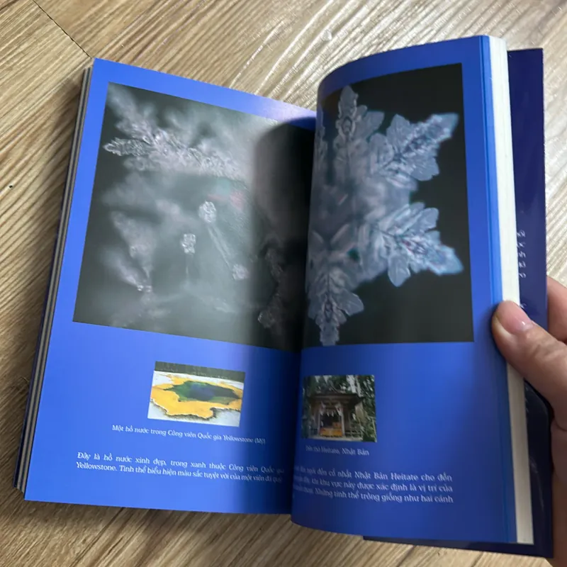 Thông điệp của nước  568755