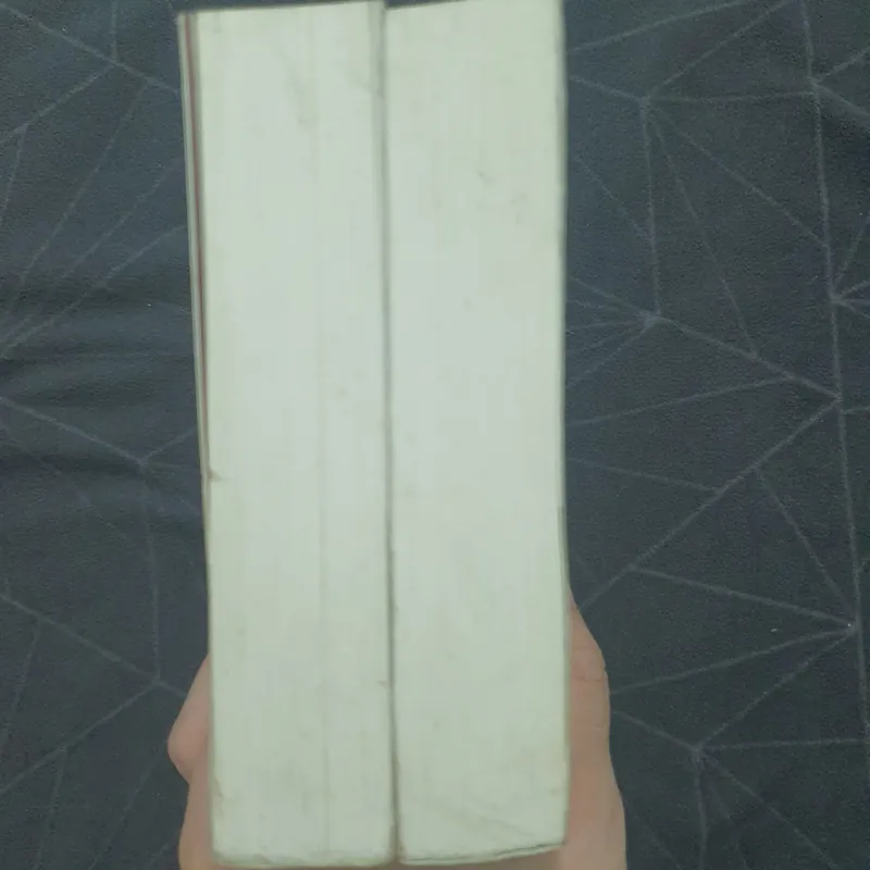 "Mười năm thương nhớ" - Thư Hải Thương Sinh 589990