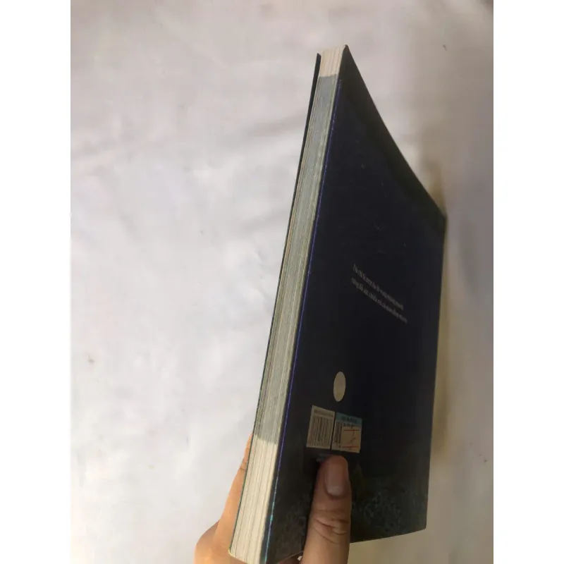 Hòn Đá Xanh - Jimmy Liao 788091