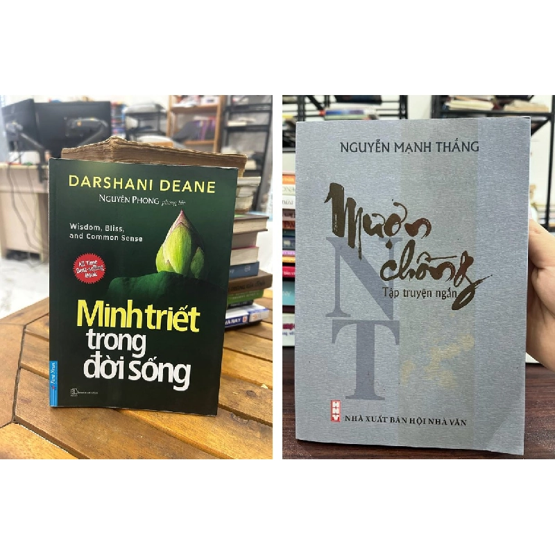 Tác phẩm của Nguyễn Mạnh Thắng 990659