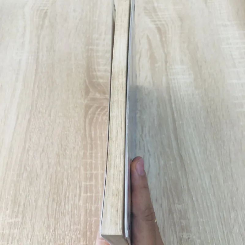 ĐƯỜNG VÀO NGHỀ VIỆT HOA PR 996142