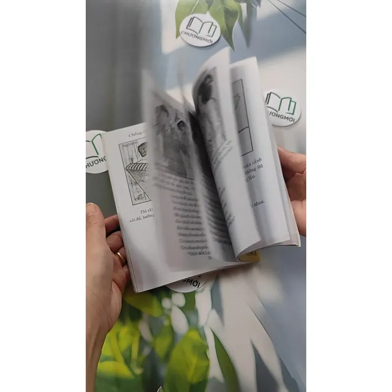 Cao Ly Đầu Hình 775958