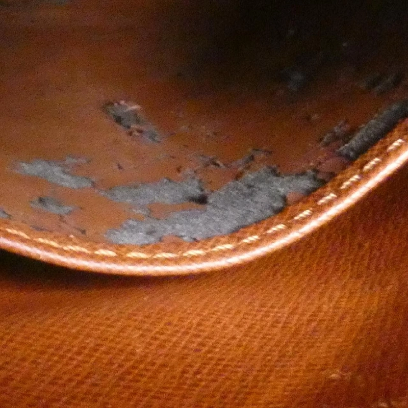 Túi đeo vai Louis Vuitton Monogram Amazon M45236 609560