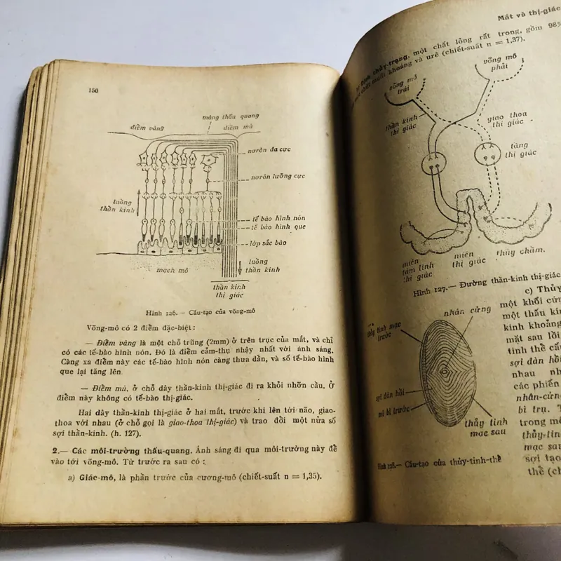 📗 VẠN VẬT HỌC LỚP 12 A 571062
