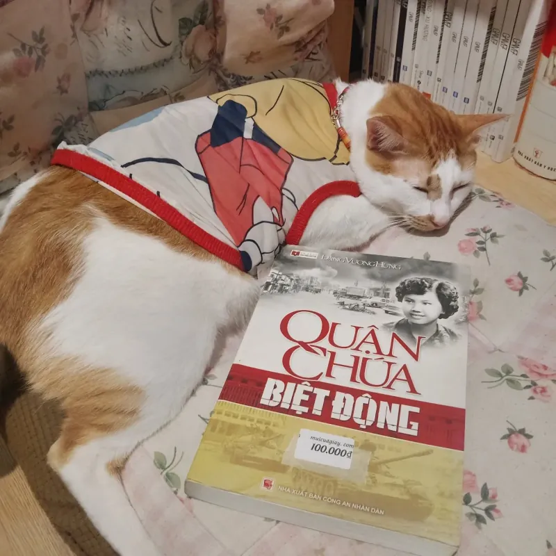 Quận chúa biệt động - Đặng Vương Hưng 925555