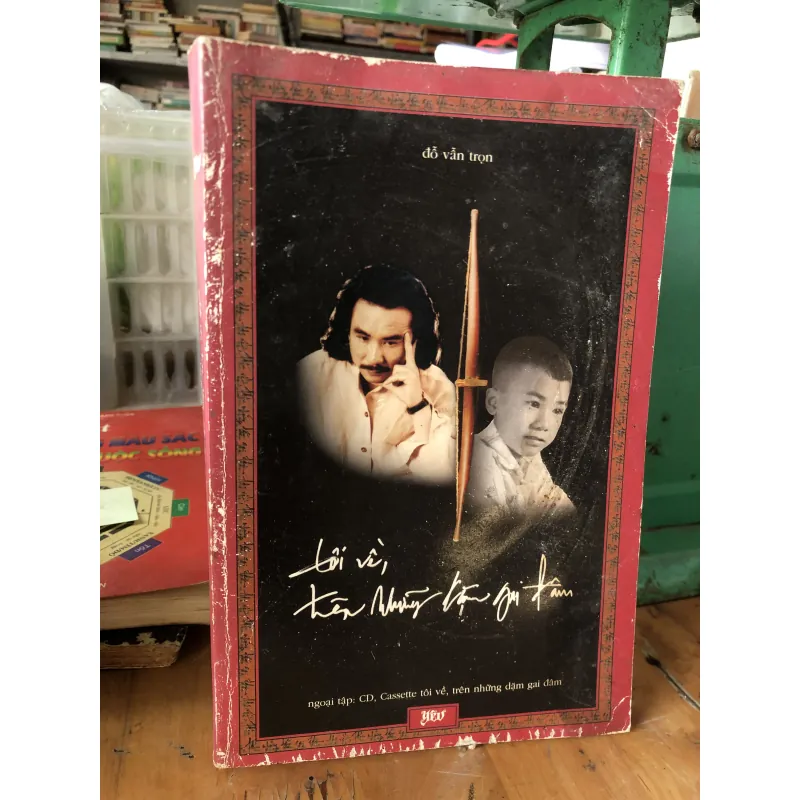 Tôi về, trên những dặm gai đâm-Đỗ Văn Trọn 973615