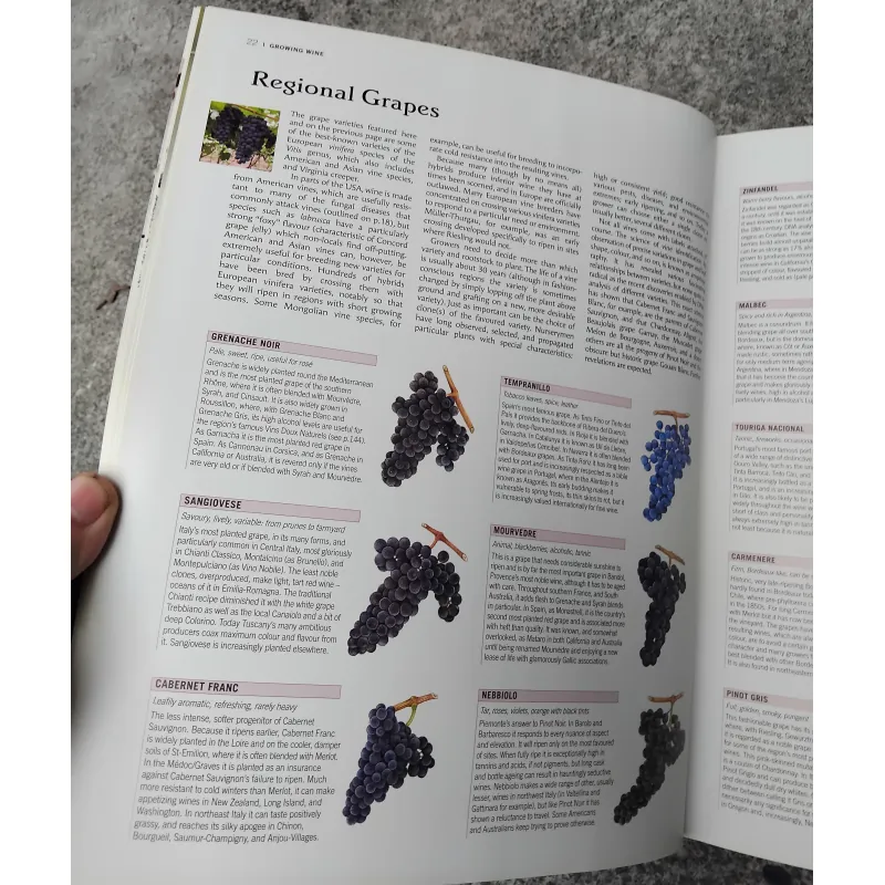 The world atlas of  wine 970849