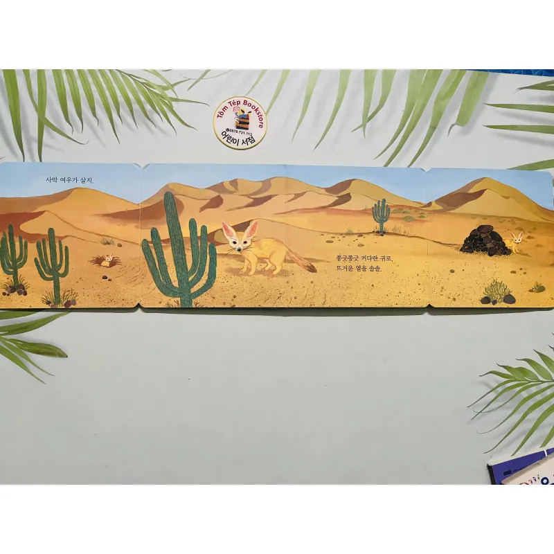 Set boardbook B19 tiếng Hàn ít chữ 784651