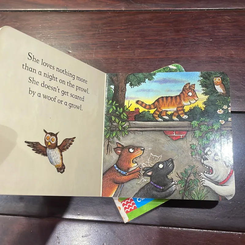 Ngoại văn tiếng anh trẻ em : AXEL SCHEFFLER POCKET LIABRARY  1028130