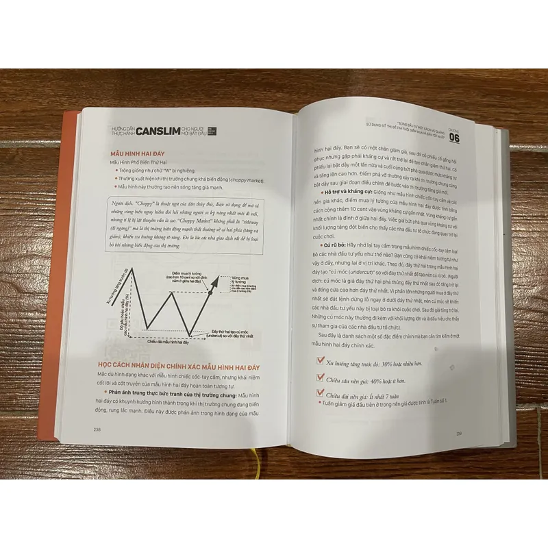 Hướng dẫn thực hành Canslim cho người mới bắt đầu 605517