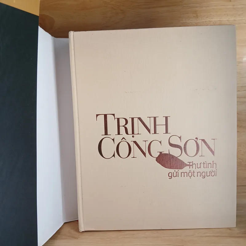 Trịnh Công Sơn - Thư Tình Gửi Một Người 560462