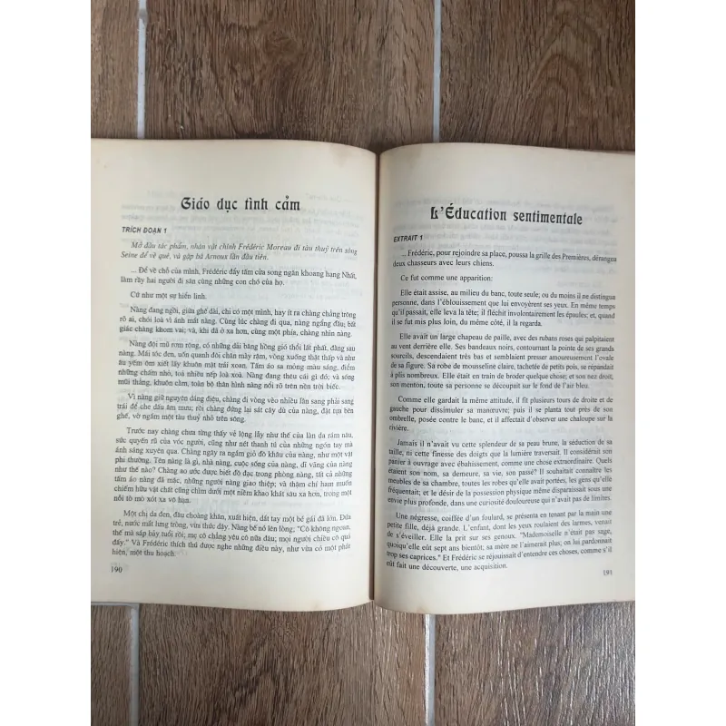 Lịch Sử Văn Học Pháp Thế KỶ XIX - Tuyển Tập Rimbaud, Baudelaire,... (Sách Hiếm/Sưu Tầm) 738001