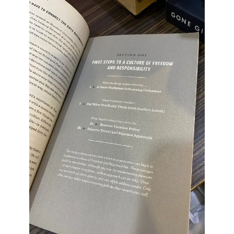 No rules rules: Netflix and the Culture of Reinvention - Reed Hastings, Erin Meyer 571334