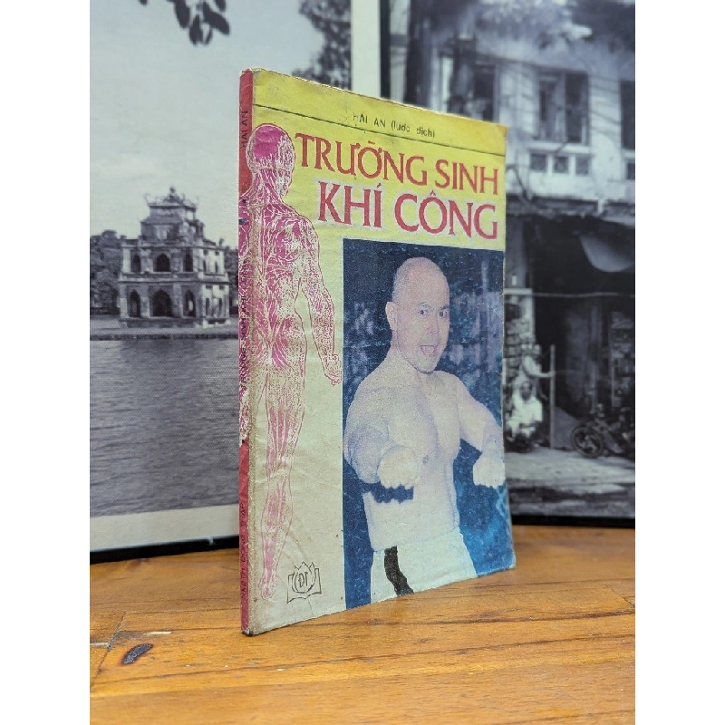 TRƯỜNG SINH KHÍ CÔNG - HẢI AN LƯỢC DỊCH 165513