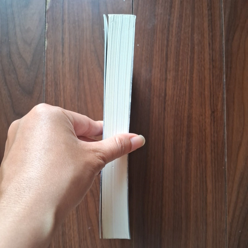 Mùa giáng sinh hạnh phúc 505273