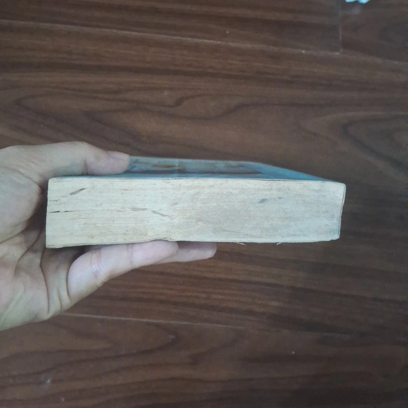 Ai tiếc bóng chiều hôm 507994