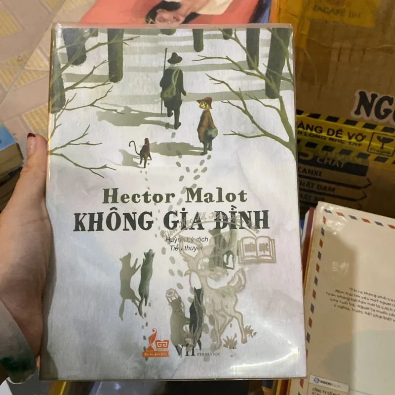 Không gia đình  972376