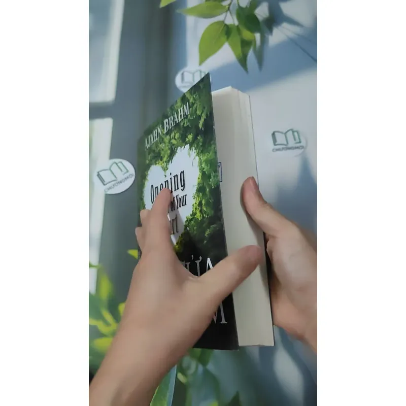 Mở Cửa Trái Tim - Ajahn Brahm 961161