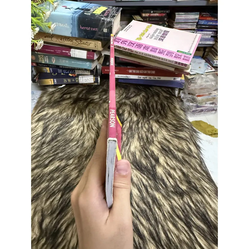 Our Discovery Island  600758