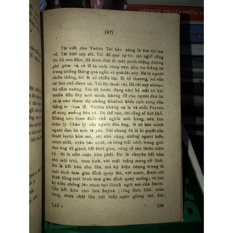 Cây noel - Misen Batayơ 785860