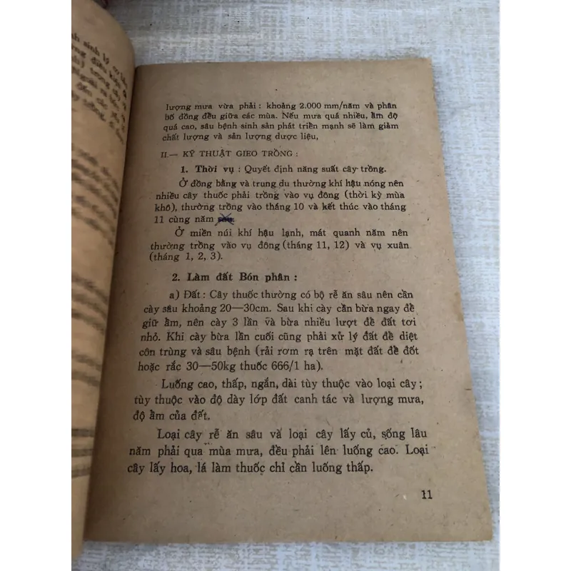 Những kinh nghiệm trồng và sử dụng 1 số cây thuốc nam 995088