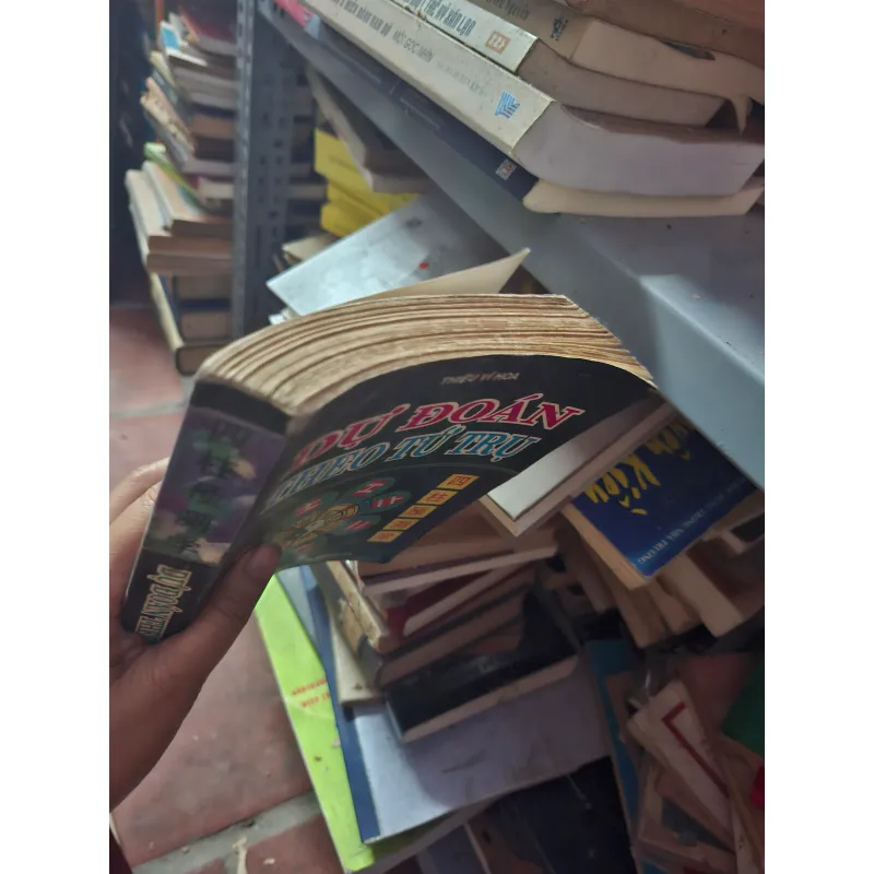 Dự đoán theo tứ trụ  1024209