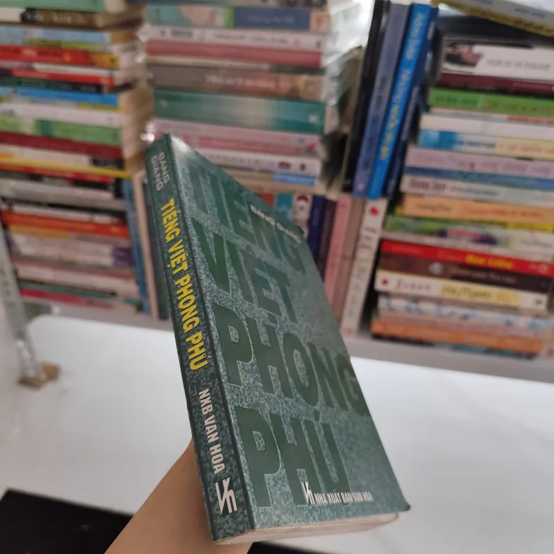 Tiếng Việt Phong Phú 564967