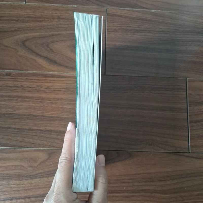 Hải thượng phồn hoa 508666