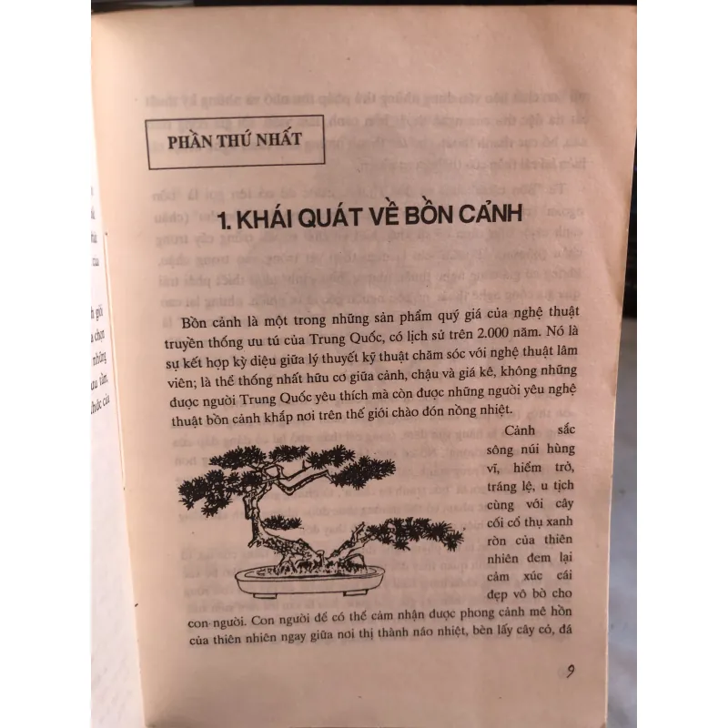 Bonsai - Cây dáng, thế và non bộ - Đỗ Hiệp  1032663