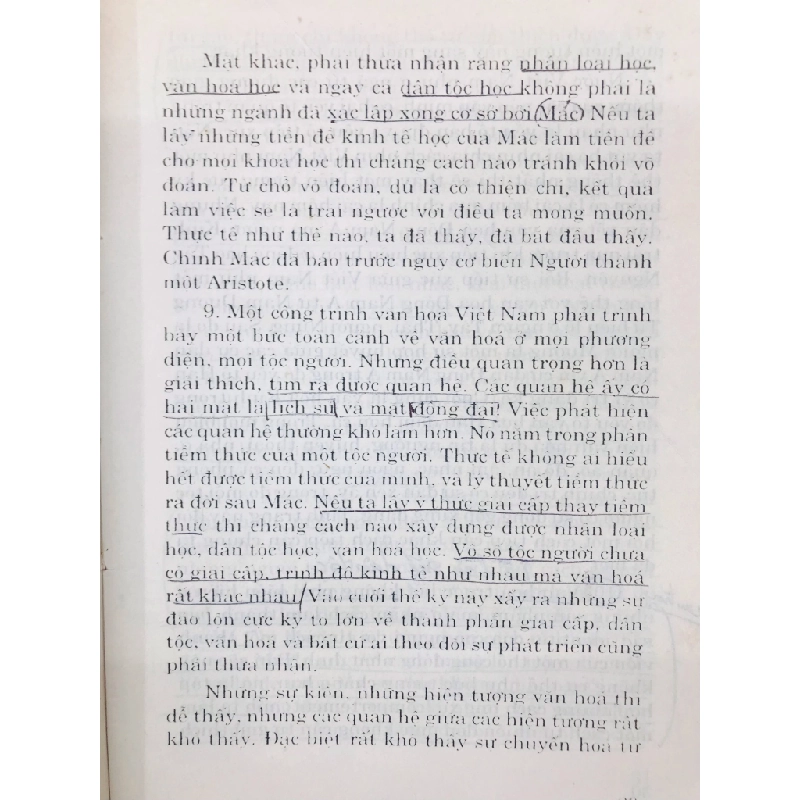 Văn hoá Việt Nam và cách tiếp cận mới - Phan Ngọc 125954