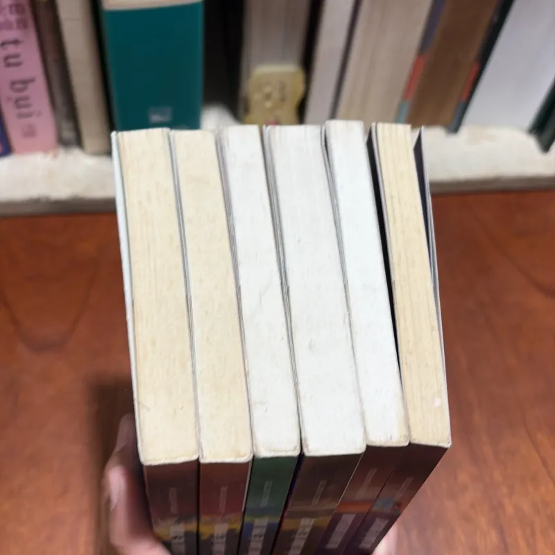 II Triết Học (6 Cuốn) - Dẫn Luận Về: JUNG, TÌNH DỤC, CÁI ĐẸP, KIERKEGAARD, FOUCAULT, FREUD 907592