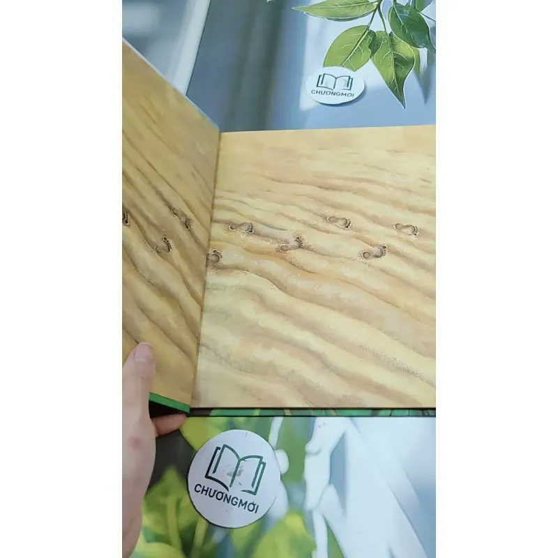 [Tặng nẹp góc] Truyện thiếu nhi Hàn Quốc: Moyamo Anu 24 -  모야모 아누와: 불행을 찾아간 원숭이;. 지혜의 열쇠 732017