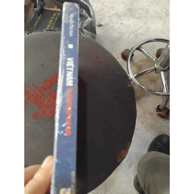 Việt Nam dưới thời Pháp đô hộ của Nguyễn Thế Anh  1032009