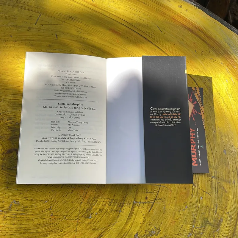 ĐỊNH LUẬT MURPHY MỌI BÍ MẬT TÂM LÝ THAO TÚNG CUỘC ĐỜI BẠN- TỪ THÍNH PHÒNG- hà dung dịch 673729