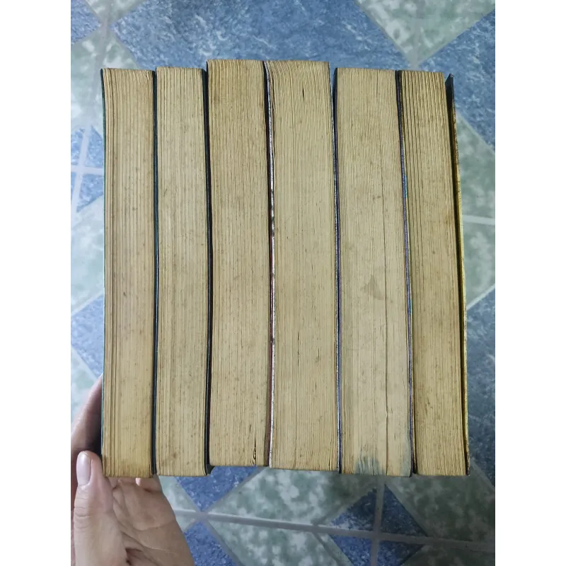 Bí mật của Nicohlas Flamel bất tử ( 6 tập) - Michael Scott 776904