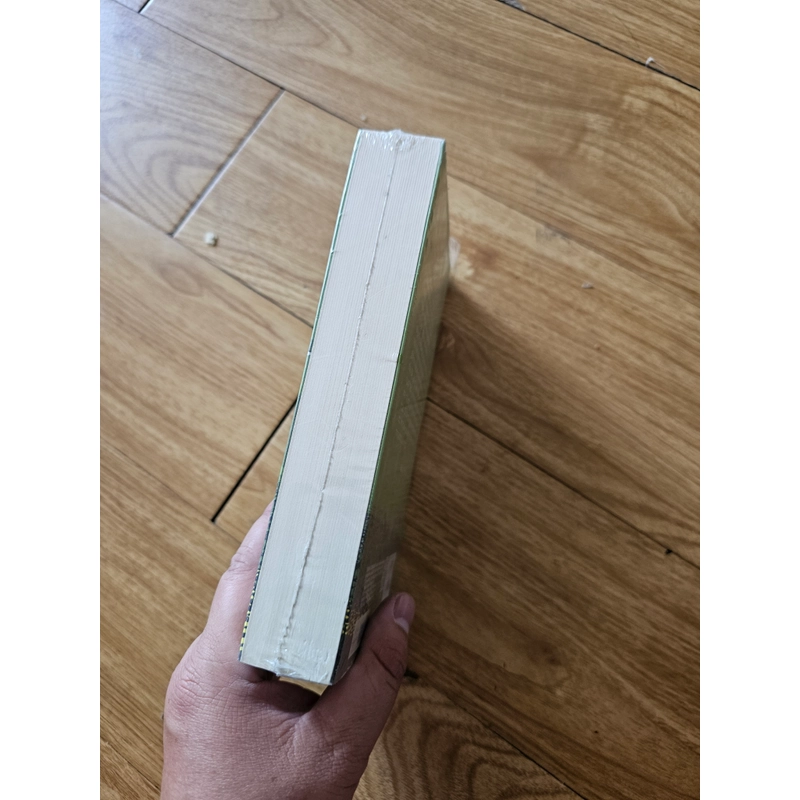 Người Sài Gòn bất đắc dĩ - Võ Đắc Danh 379783
