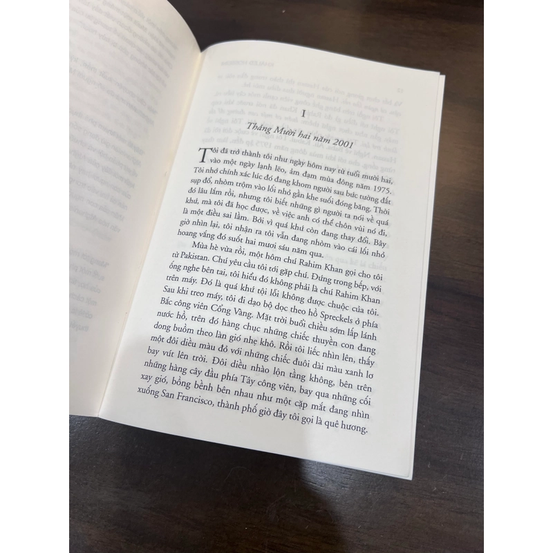 Người đua diều 539586