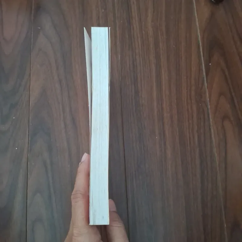 Người bán hàng vĩ đại nhất thế giới  593086