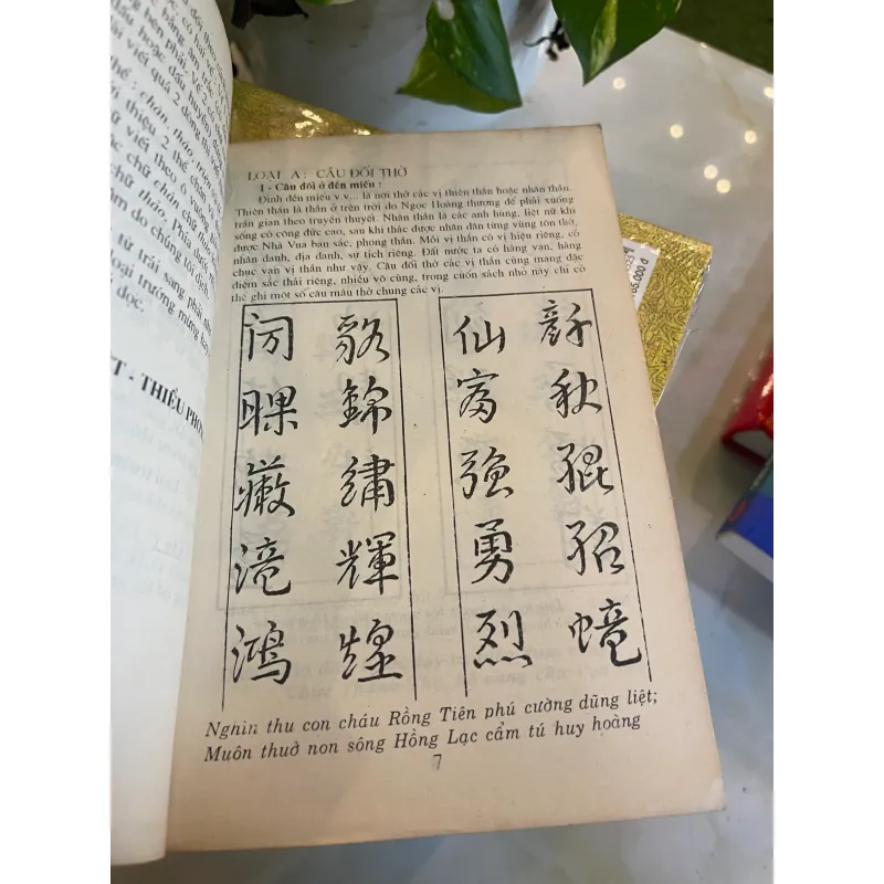 MẪU CÂU ĐỐI HOÀNH PHI THƯỜNG DÙNG - TÂN VIỆT, THIỀU PHONG 1030619