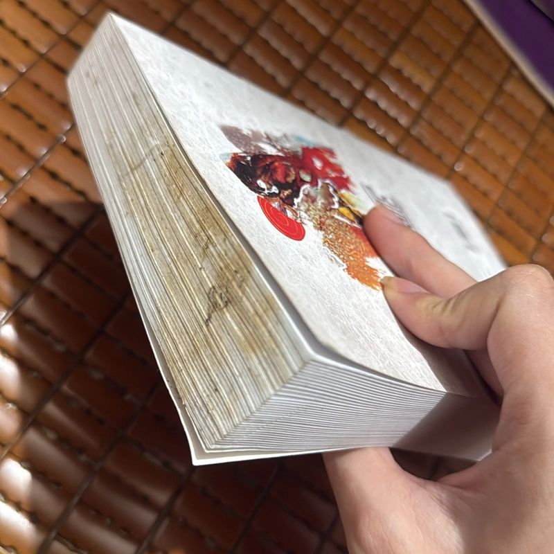 Núi mẹ - Nguyễn Đức Nguyên 517249