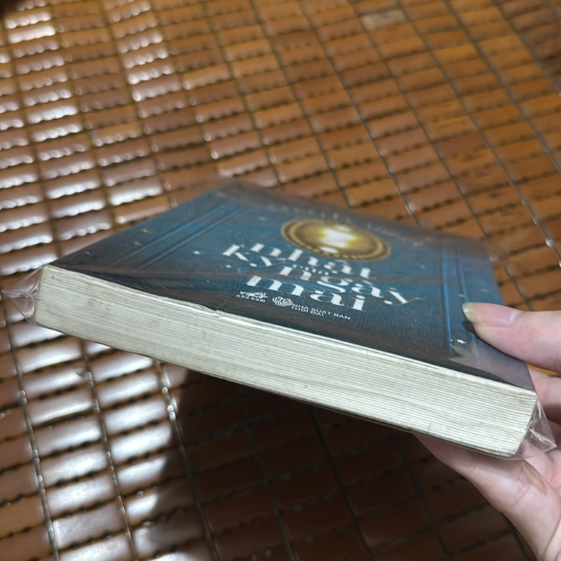 Nhật ký của ngày mai - Ceceliw Ahern 528738