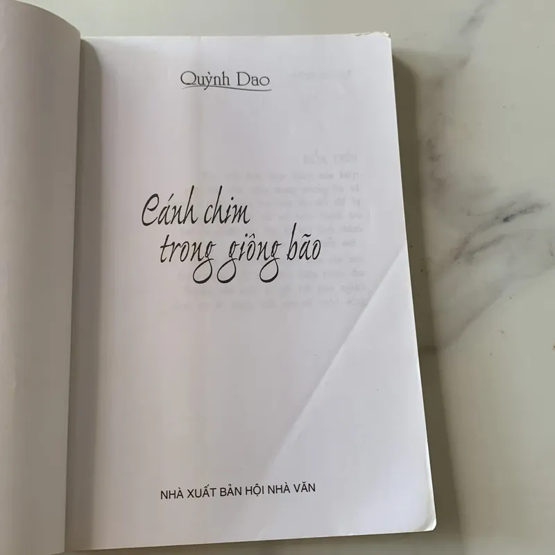 Cánh chim trong giông bão, Quỳnh Dao 708454