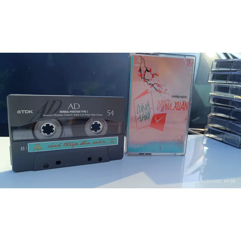 Băng Cassette Nhạc Cánh Thiệp Đầu Xuân 743238