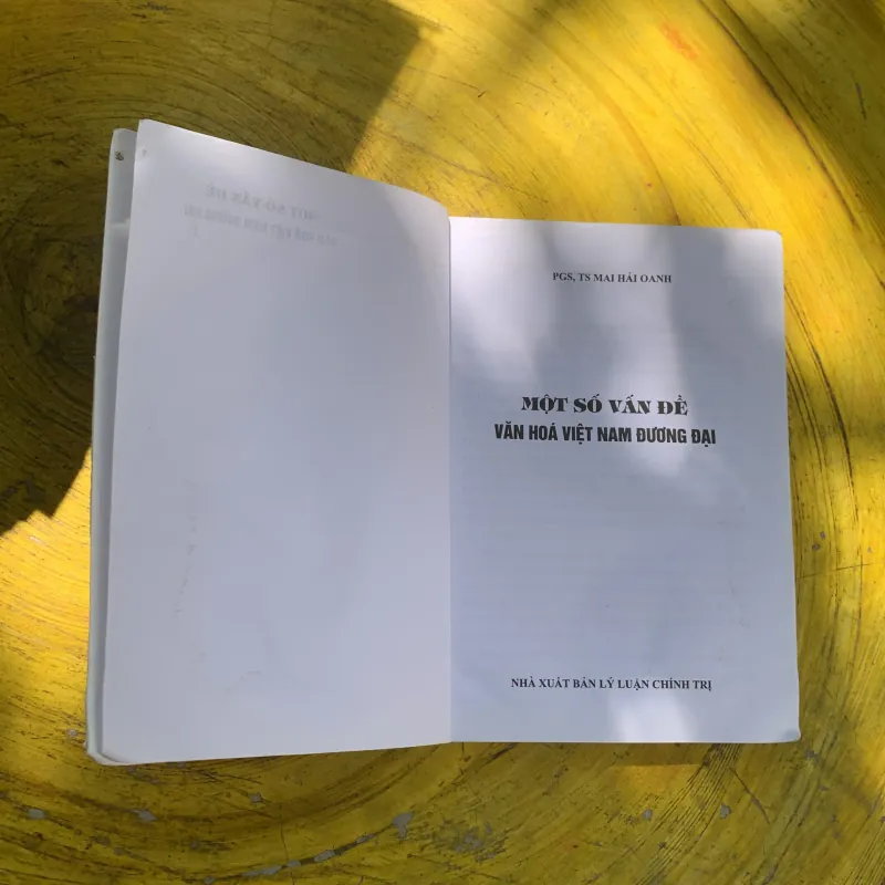 COMBO MỘT SỐ VẤN ĐỀ VỀ VĂN HOÁ VIỆT NAM ĐƯƠNG ĐẠI & DẪN LUẬN NGÔN NGỮ HỌC  785680