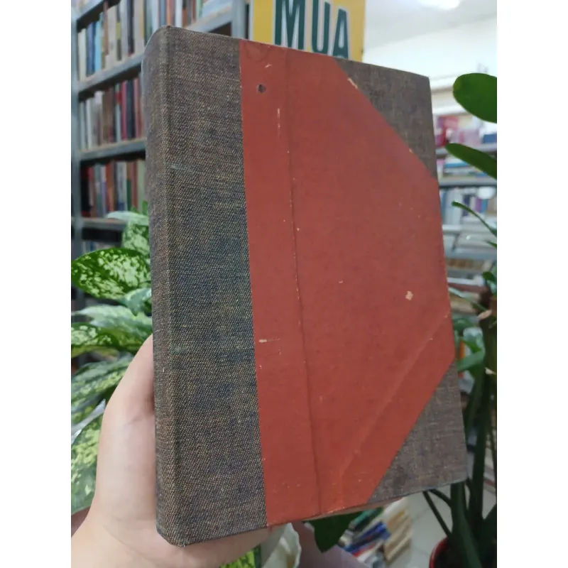 VIỆT NAM VĂN HỌC SỬ YẾU - DƯƠNG QUẢNG HÀM 936566