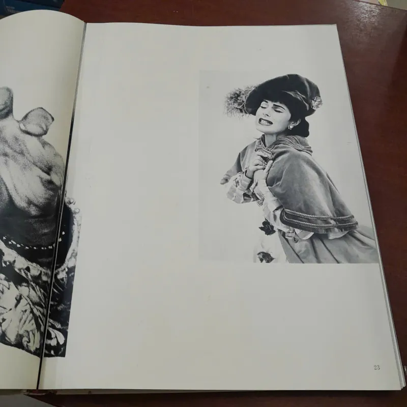 OBSERVATIONS - RICHARD AVEDON 787795