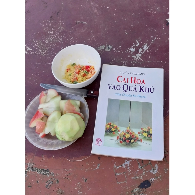 Cài Hoa Vào Quá Khứ 337868