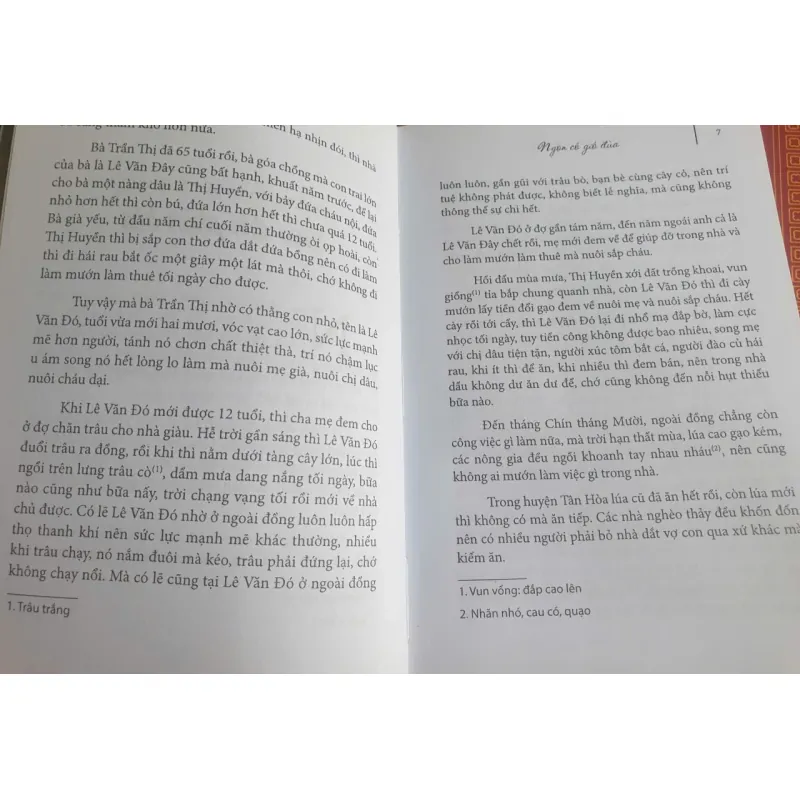 Ngọn Cỏ Gió Đùa - Hồ Biểu Chánh 712096