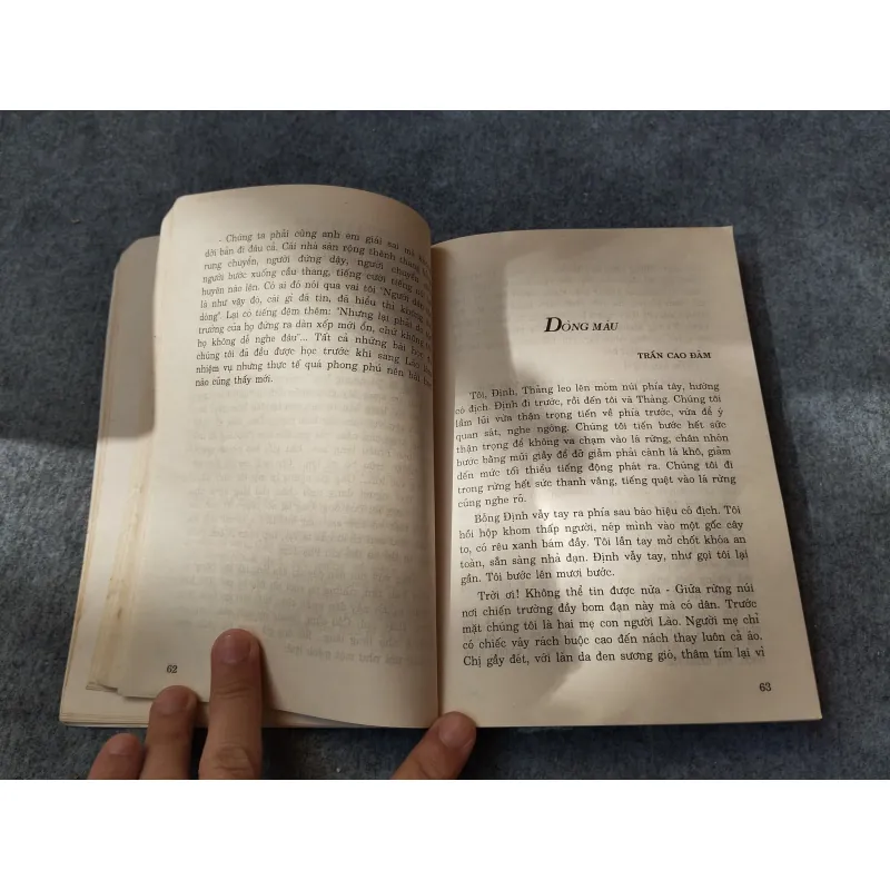 ĐIỆU LĂM VÔNG TÌNH NGHĨA 720010