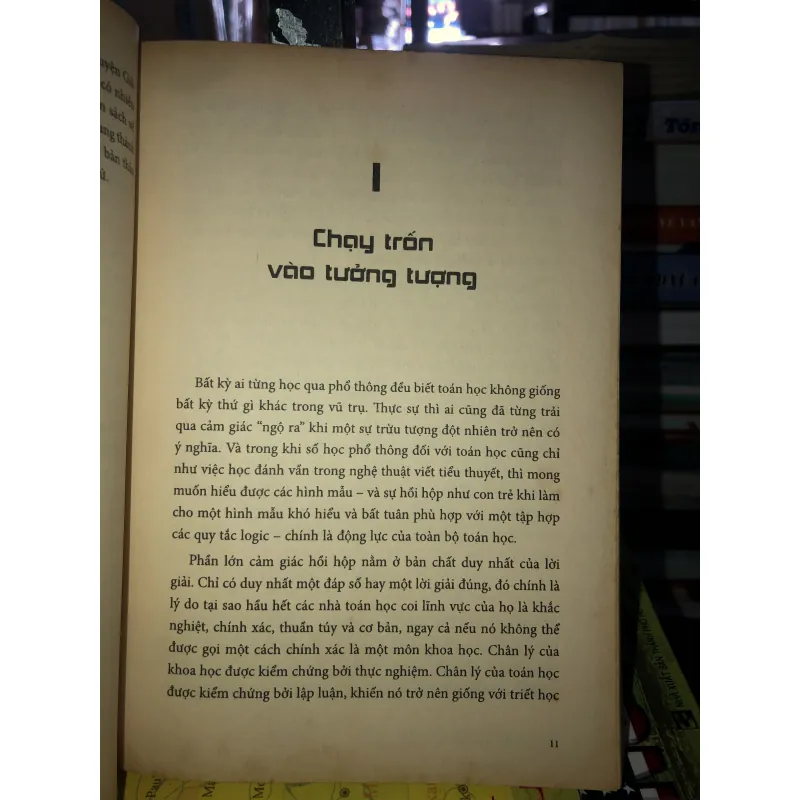 Thiên tài kỳ dị và đột phá toán học cùa thế giới - Masha Gessen 777013